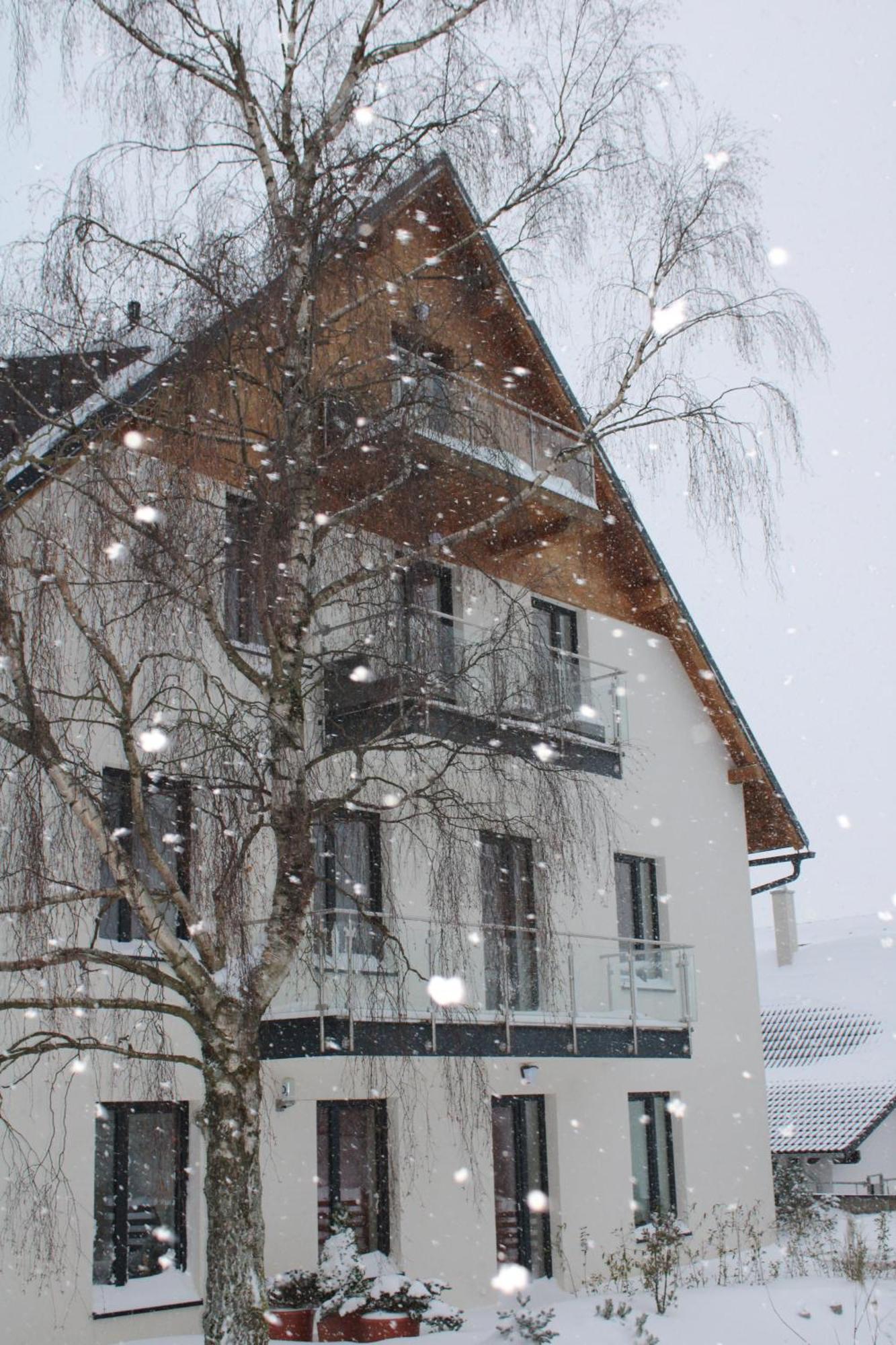 Ski Apartman Snowcat Abertamy Exterior photo
